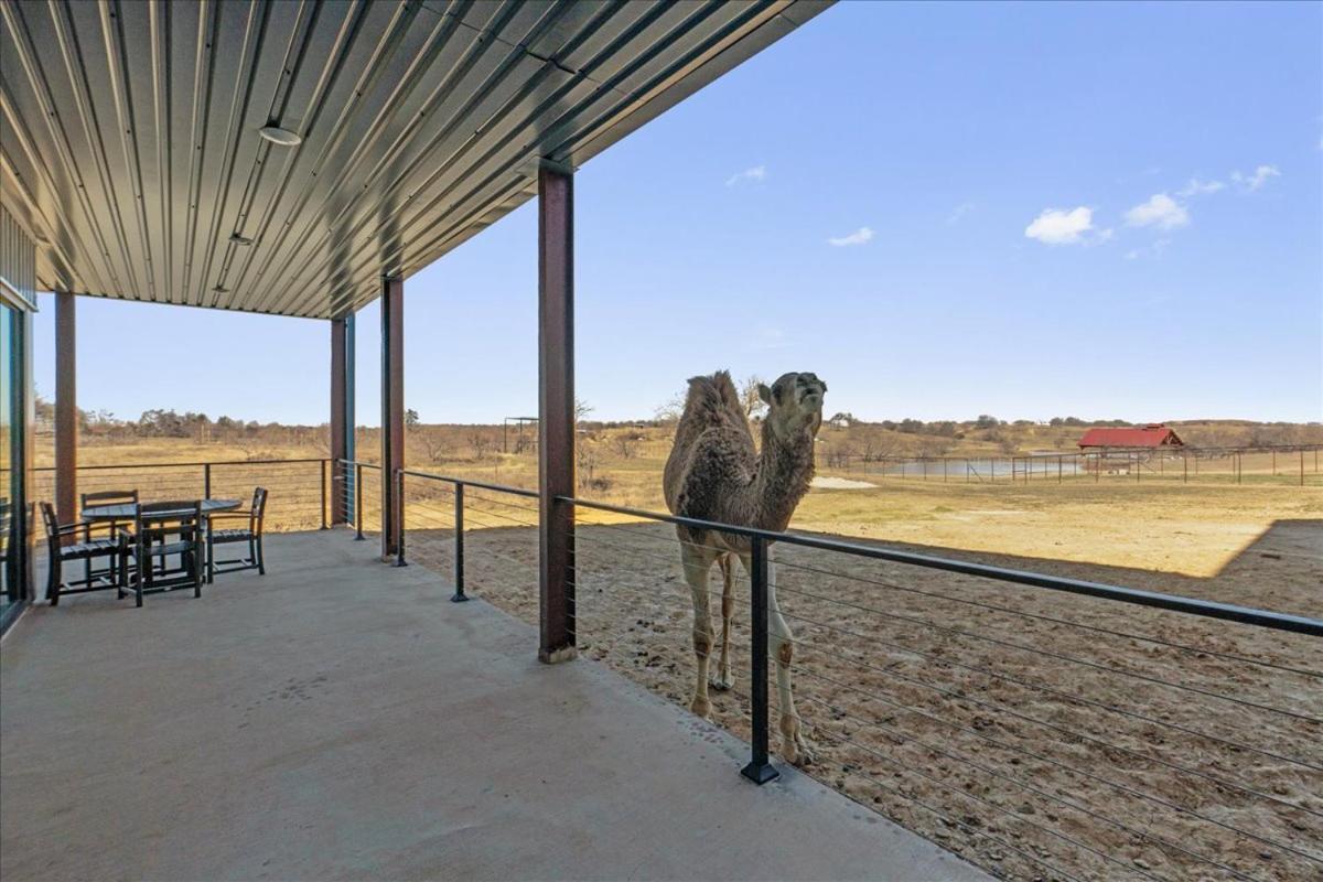Blue Hills Ranch Hotell McGregor Exteriör bild