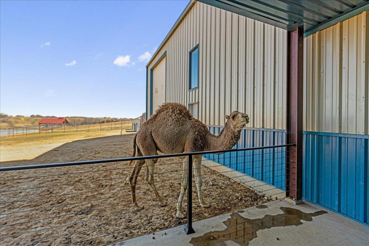 Blue Hills Ranch Hotell McGregor Exteriör bild